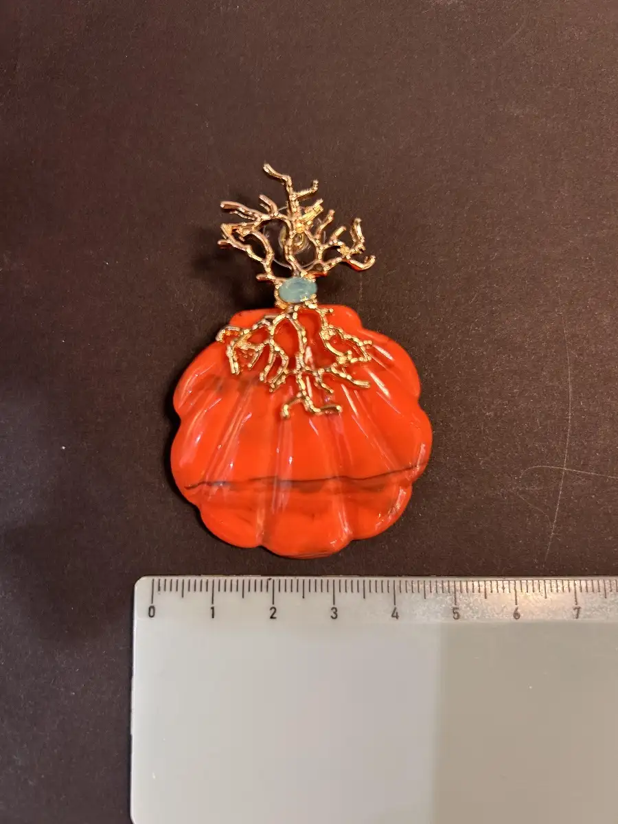 SHELL QUEEN CORAIL